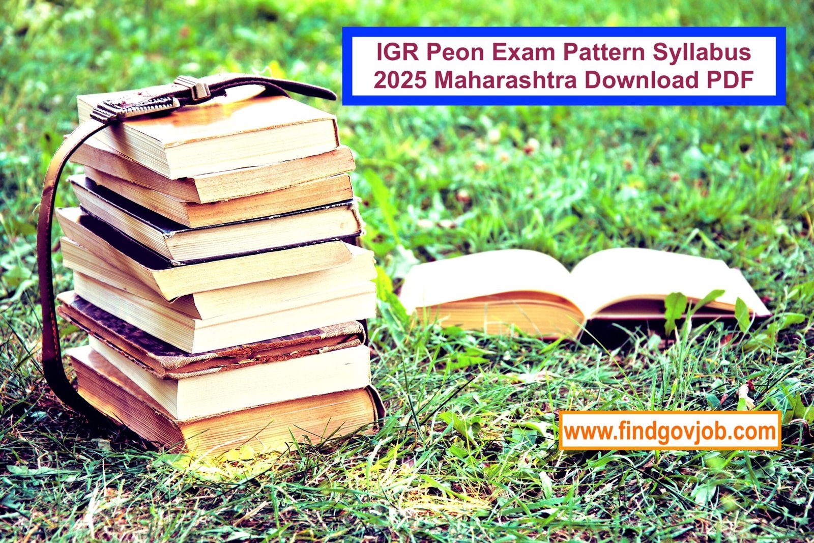 IGR Peon Exam Pattern Syllabus 2025